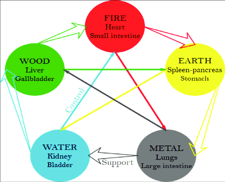 Generation-cycle-and-control-cycle-in-the-Five-Elements-theory